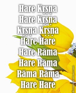 Hare Krishna Maha Mantra 483