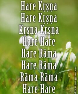 Hare Krishna Maha Mantra 489