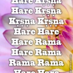 Hare Krishna Maha Mantra 490