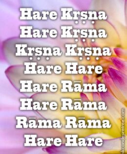 Hare Krishna Maha Mantra 490