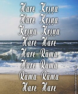 Hare Krishna Maha Mantra 491