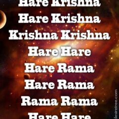 Hare Krishna Maha Mantra 495