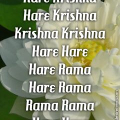 Hare Krishna Maha Mantra 497