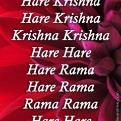 Hare Krishna Maha Mantra 498