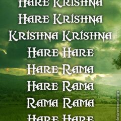 Hare Krishna Maha Mantra 499