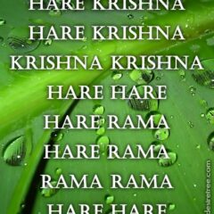 Hare Krishna Maha Mantra 504