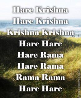 Hare Krishna Maha Mantra 506