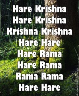 Hare Krishna Maha Mantra 509