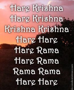 Hare Krishna Maha Mantra 510