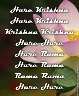 Hare Krishna Maha Mantra 512