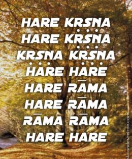 Hare Krishna Maha Mantra 520