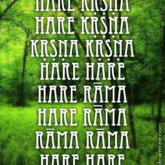 Hare Krishna Maha Mantra 521