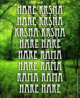 Hare Krishna Maha Mantra 521