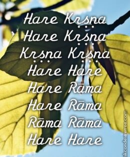 Hare Krishna Maha Mantra 527