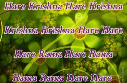 Hare Krishna Maha Mantra 028