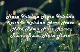 Hare Krishna Maha Mantra 037