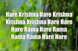 Hare Krishna Maha Mantra 040