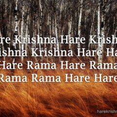 Hare Krishna Maha Mantra 053