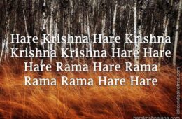 Hare Krishna Maha Mantra 053