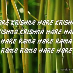 Hare Krishna Maha Mantra 056