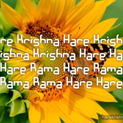 Hare Krishna Maha Mantra 062