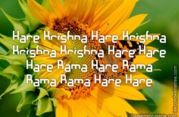 Hare Krishna Maha Mantra 062