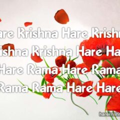 Hare Krishna Maha Mantra 065