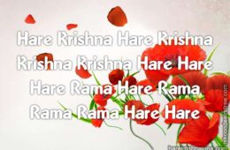 Hare Krishna Maha Mantra 065