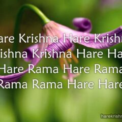 Hare Krishna Maha Mantra 066