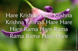 Hare Krishna Maha Mantra 066