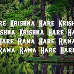 Hare Krishna Maha Mantra 070