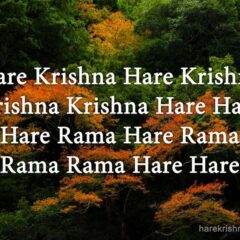 Hare Krishna Maha Mantra 071