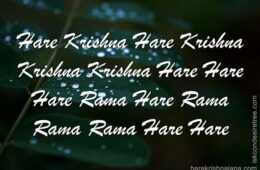 Hare Krishna Maha Mantra 076