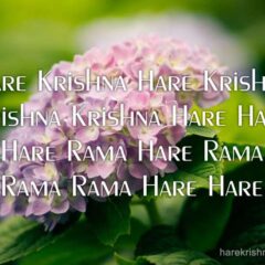 Hare Krishna Maha Mantra 078