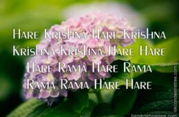 Hare Krishna Maha Mantra 078