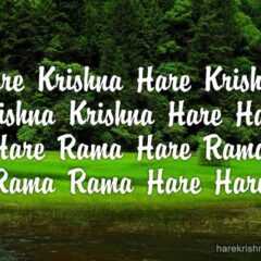 Hare Krishna Maha Mantra 080