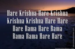 Hare Krishna Maha Mantra 081