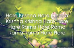 Hare Krishna Maha Mantra 087