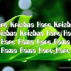 Hare Krishna Maha Mantra 098