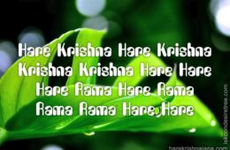 Hare Krishna Maha Mantra 098