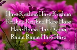 Hare Krishna Maha Mantra 102