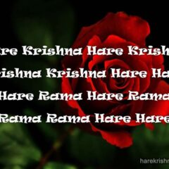 Hare Krishna Maha Mantra 108