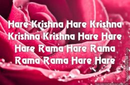 Hare Krishna Maha Mantra 110