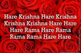 Hare Krishna Maha Mantra 111