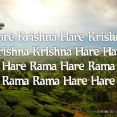 Hare Krishna Maha Mantra 119