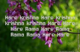 Hare Krishna Maha Mantra 121