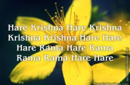 Hare Krishna Maha Mantra in French 008