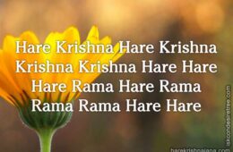 Hare Krishna Maha Mantra 130