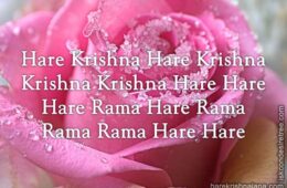 Hare Krishna Maha Mantra 133