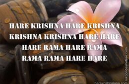 Hare Krishna Maha Mantra 152